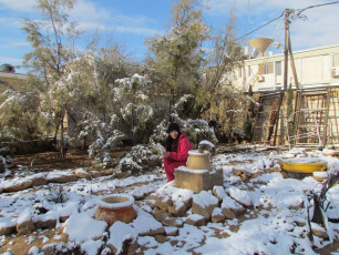 10922483_924997154187399_8582931439093207094_n