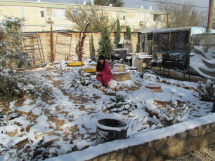 10933754_924997084187406_8779334873289896368_n