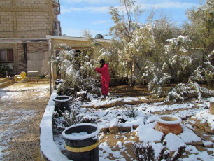 10934028_924997247520723_4364275201687979224_n