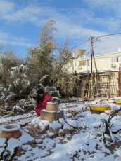 14306_924997177520730_495627631164545148_n