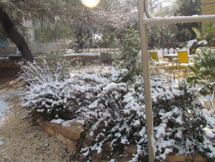 1454730_924997007520747_4913638445440107082_n