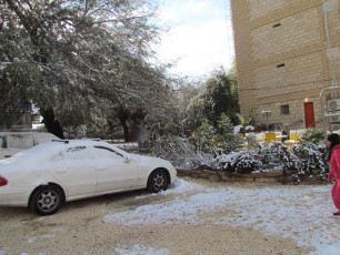 1527078_924997260854055_6651871360014691410_n